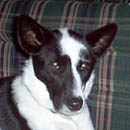 Rue was adopted in January, 2005